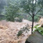 തുറന്നു കിടക്കുന്ന ഓടയിൽ വീണ് മരണം: മനുഷ്യാവകാശ കമ്മീഷൻ കേസെടുത്തു