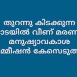 വൈക്കം മുഹമ്മദ് ബഷീർ പുരസ്കാരങ്ങൾ പ്രഖ്യാപിച്ചു.