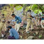 രക്താർബുദ സാധ്യത കുറയ്ക്കാൻ പരിമിതപ്പെടുത്തേണ്ട അഞ്ച് ഭക്ഷണങ്ങൾ