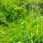 ഉറൂബ് കഥാപുരസ്‌കാരം ഉസ്മാന്‍ ഒഞ്ചിയത്തിന് സമ്മാനിച്ചു