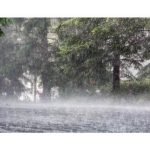 മുക്താർ അബ്ബാസ് നഖ് വിക്ക് ഊഷ്മള സ്വീകരണം