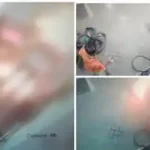 കാറും കെഎസ്ആർടിസിയും കൂട്ടിയിടിച്ചു; ആറ് വയസുകാരി മരിച്ചു,5 പേർക്ക് പരിക്ക്