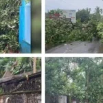 മാലിന്യം നിറഞ്ഞ് ജീർണ്ണിച്ച ബസ് കാത്തിരിപ്പു കേന്ദ്രം