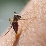 ജോയിയുടെ കുടുംബത്തിനുള്ള ധനസഹായം ഇന്ന് പ്രഖ്യാപിക്കും