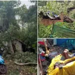 മനുഷ്യാവകാശ കമ്മീഷൻ ഇടപെടൽ : ചികിത്സാ ആനുകൂല്യങ്ങൾ സംബന്ധിച്ച ബോർഡ് പ്രദർശിപ്പിക്കണമെന്ന് സർക്കാർ