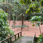 ഫിസിയോതെറാപ്പിക്കെത്തിയ പെൺകുട്ടിയെ ആരോഗ്യപ്രവർത്തകൻ പീഡിപ്പിച്ചതായി പരാതി