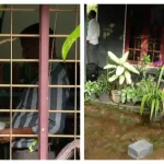 കോഴിക്കോട് അക്ഷയ സെന്‍റർ നടത്തിപ്പുകാരനെ പിടിച്ചിറക്കി, കാറിൽ കയറ്റി ക്രൂരമായി മര്‍ദ്ദനം