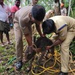 ദേവസ്വം ബോർഡ് നിലപാട് വിശ്വാസികളോടുള്ള വെല്ലുവിളി: കെ.സുരേന്ദ്രൻ