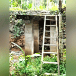 ബൈ​ക്ക് മോ​ഷ​ണം പ്ര​തി അ​റ​സ്റ്റി​ൽ