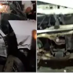 തൃശൂരിൽ വിഷപ്പുല്ല് തിന്ന് 4 പശുക്കള്‍ ചത്തു; മുന്നറിയിപ്പുമായി വെറ്ററിനറി ഡോക്ടര്‍മാര്‍