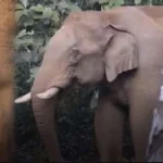 യുഎസ് നാടുകടത്തൽ; നിയമ വിരുദ്ധപ്രവർത്തനങ്ങൾ അംഗീകരിക്കാനാവില്ല, വിശദീകരണവുമായി വിദേശകാര്യ മന്ത്രി എസ് ജയശങ്കർ