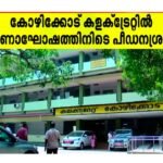 പൂക്കളുടെ വർണ്ണ വിസ്മയം തീർത്ത് ബേപ്പൂർ ബീച്ചിൽ പുഷ്പമേള
