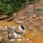 വാട്ട്‌സ്ആപ്പില്‍ ‘നല്ല പേരെടുത്തോളൂ’ വരുന്നൂ വാട്ട്‌സ്ആപ്പ് യൂസര്‍നെയിം; നമ്പരില്ലാതെ ഇനി ചാറ്റ് ചെയ്യാം
